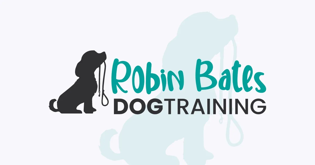 Robin Bates Dog Training Services NI, Ballyclare - Photo 3 of 3