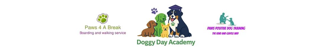 Doggy Day Academy, Barnsley - Photo 2 of 2