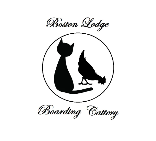 Boston Lodge Cattery, Evesham - Photo 3 of 3