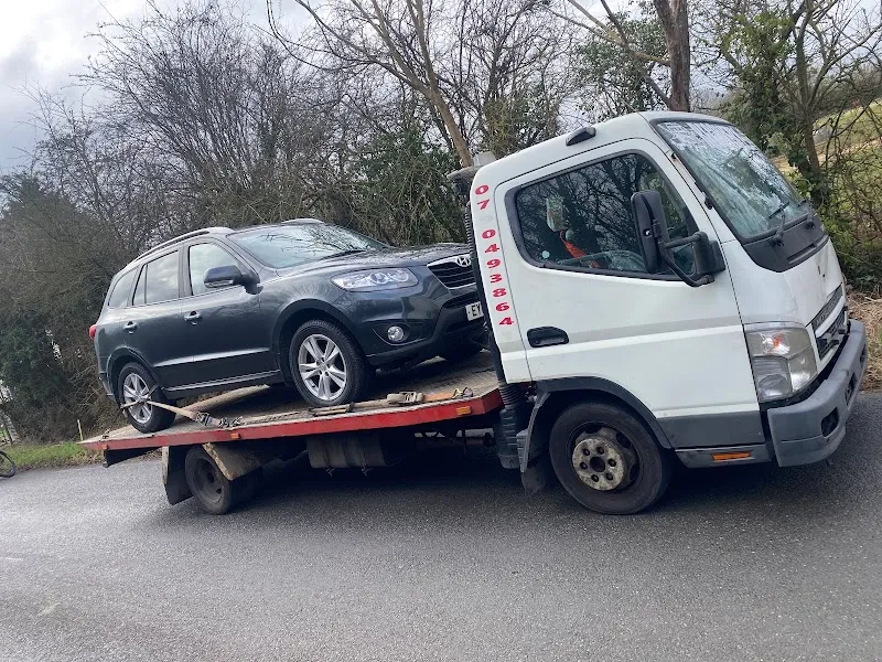 Boston Lodge Cattery