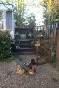 Hope farm small pet boarding, Borden - Photo 2 of 2