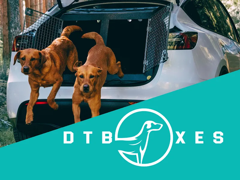 DT Boxes