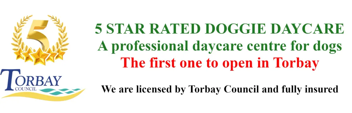 Happy Dogs R Us, Carmarthen - Photo 2 of 7