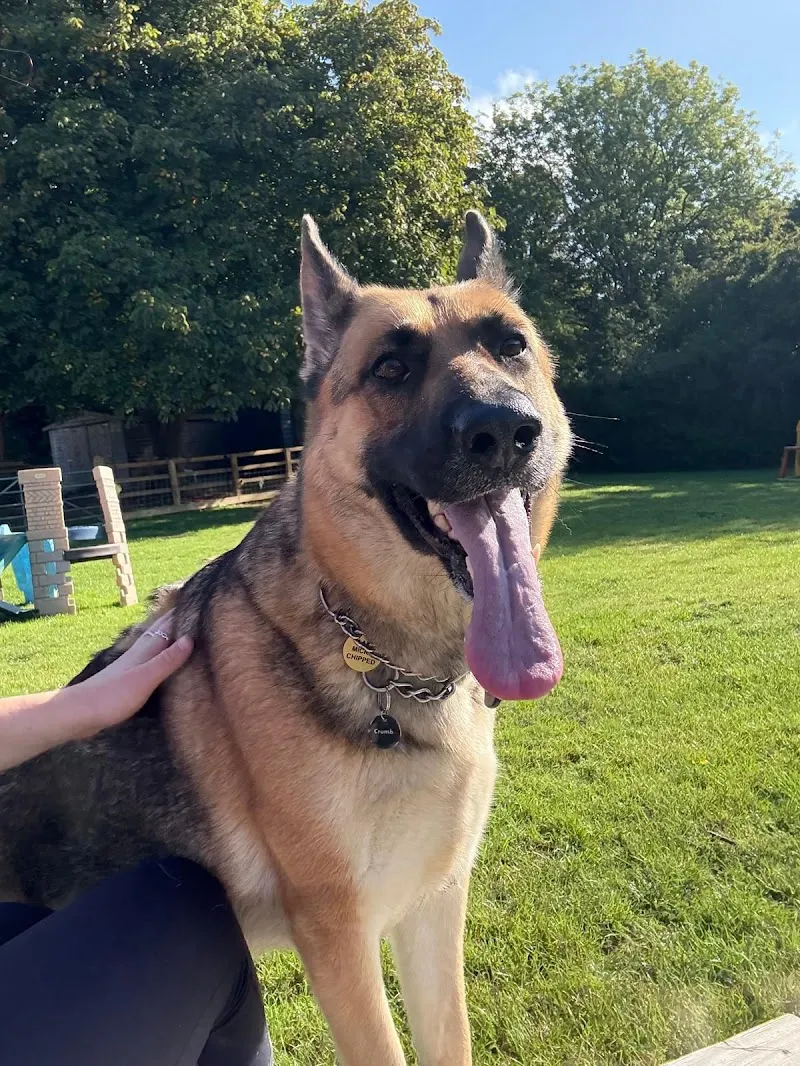 Greendale Farm Kennels and Cattery