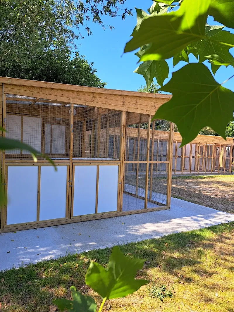 The Cottage Boarding Cattery