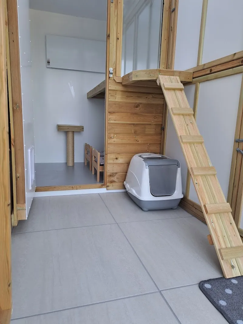 The Cottage Boarding Cattery