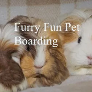 Furry Fun Pet Boarding, North Lanarkshire