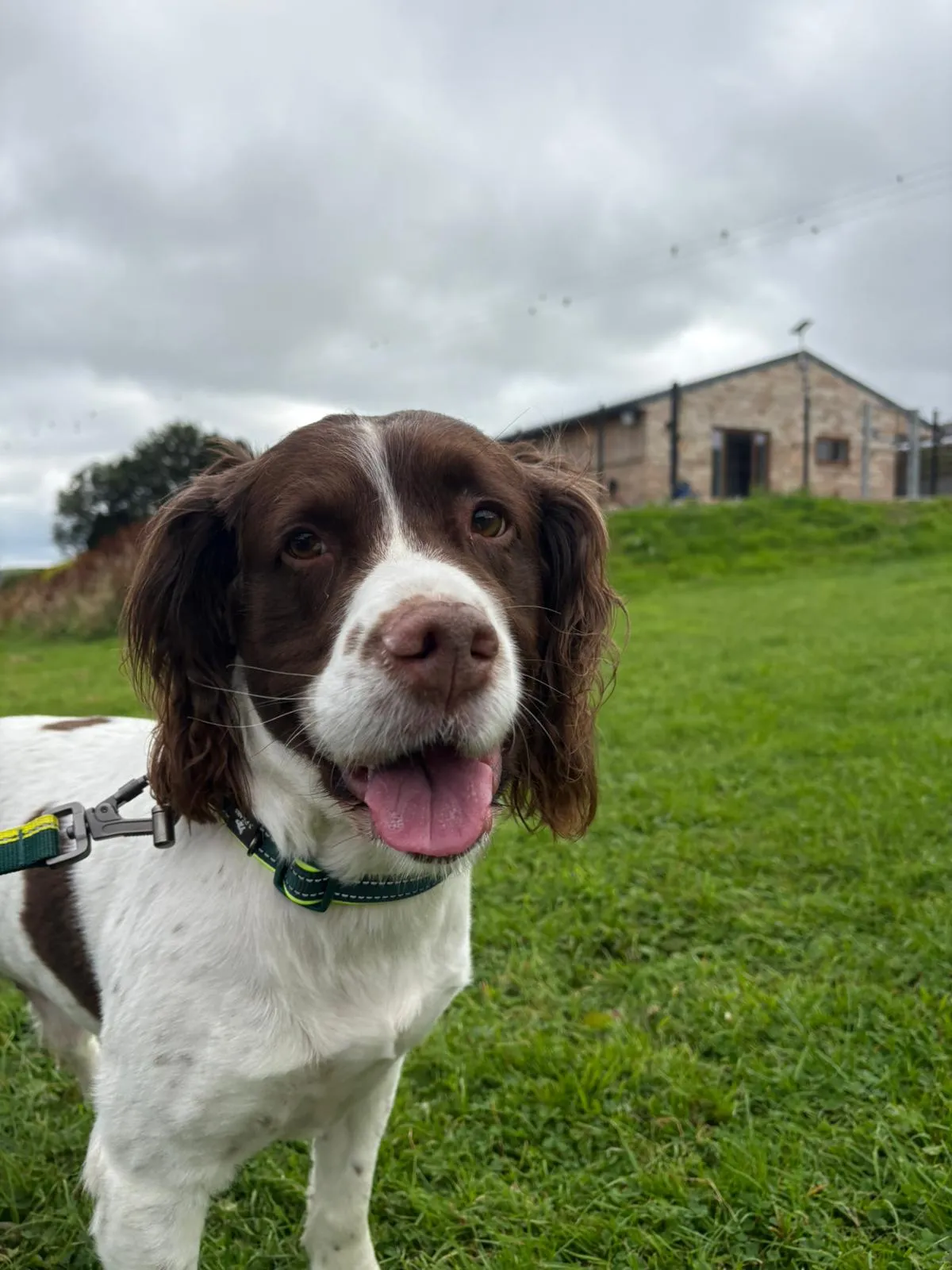 House O’th Hill - Luxury Boarding Dog Kennels, Rochdale - Photo 2 of 2