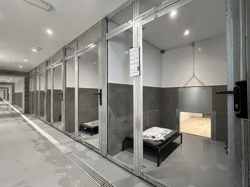 House O’th Hill - Luxury Boarding Dog Kennels