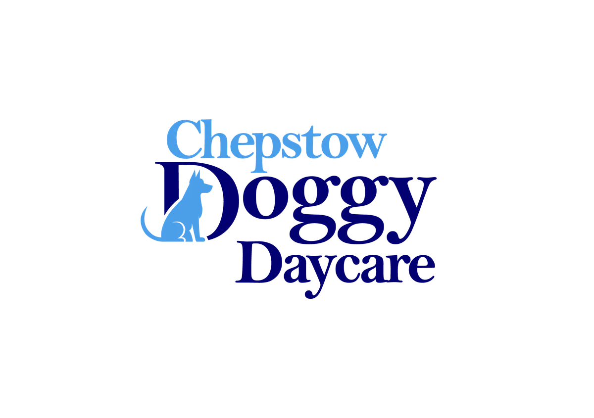 Chepstow Doggy Daycare, Chepstow - Photo 2 of 2