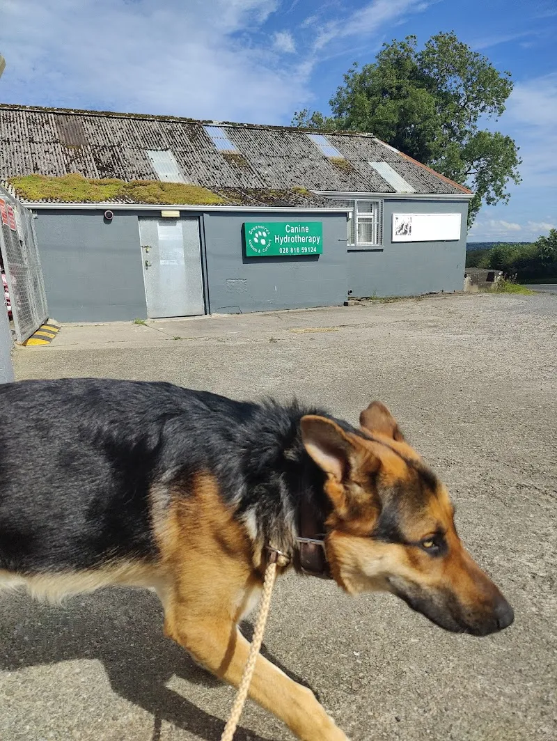 Greenacres Kennels & Cattery