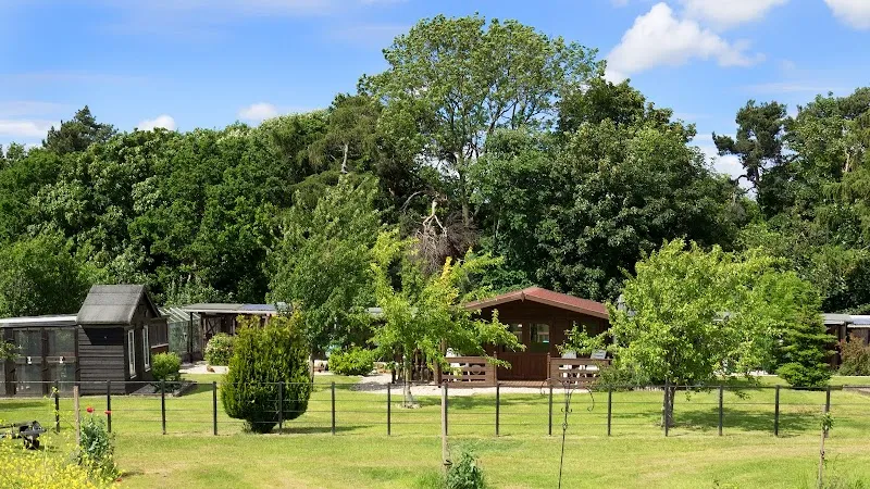 Brook Park Farm Boarding Cattery