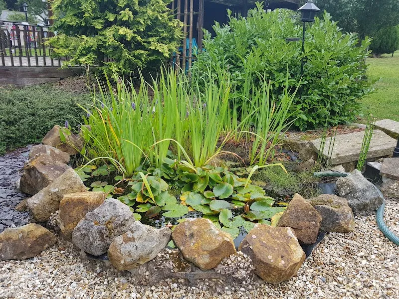 Brook Park Farm Boarding Cattery