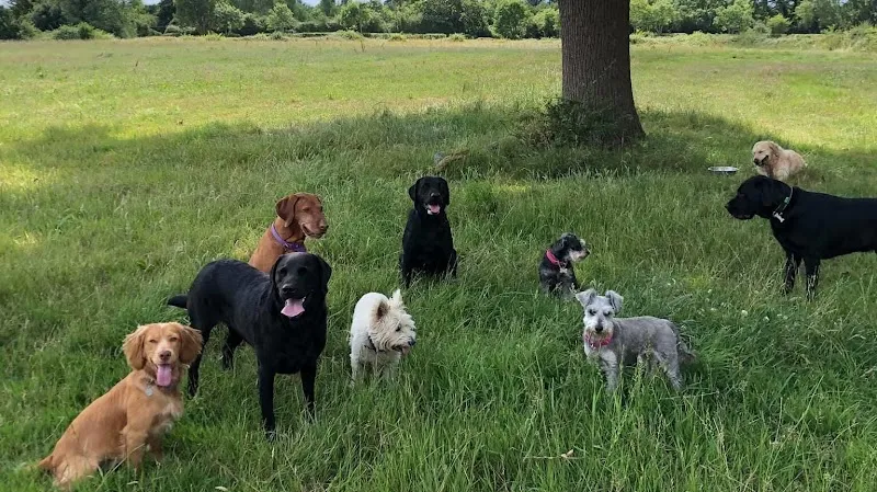 WAGG ’n’ HEELS Ltd