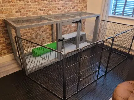 Kirsty's Pawfect Pet Boarding & Day Care Burscough - Image 1