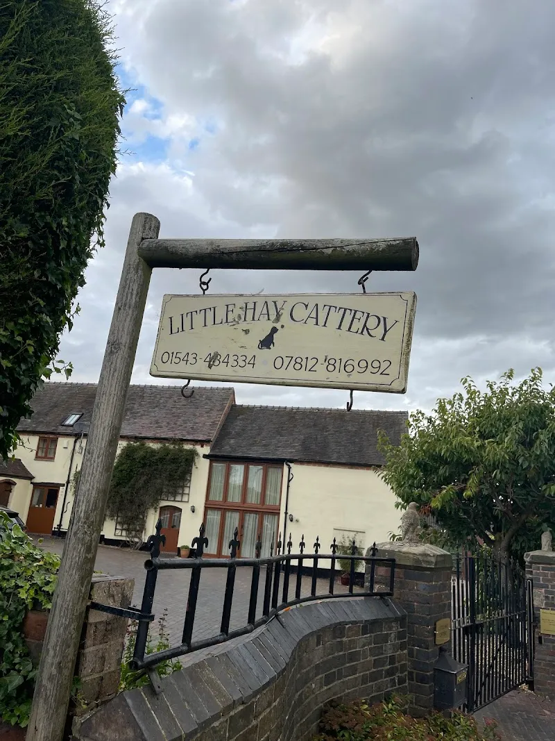 Little Hay Cattery