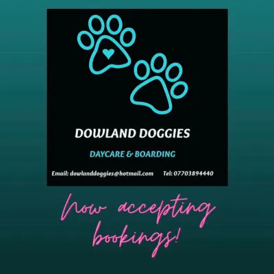 Dowland doggies daycare and boarding, Limavady - Photo 2 of 2