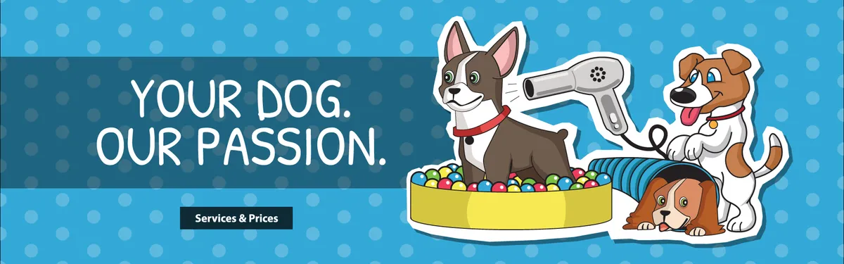 It's a Dogs Life Halifax Daycare & Dog Grooming, Halifax - Photo 2 of 2