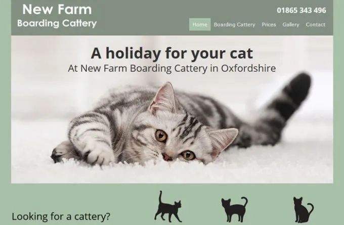 New Farm Boarding Cattery, Oxford