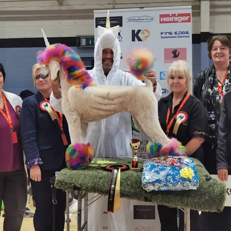 Michael Shiels Academy @ Bark N Beauty Spa Dog Grooming School