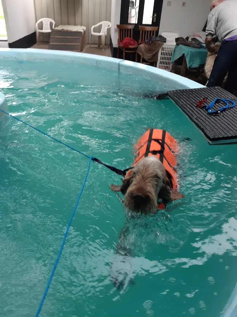 Aiket Boarding Kennels