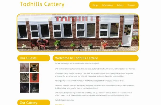 Todhills Cattery, Bishop Auckland - Photo 2 of 2
