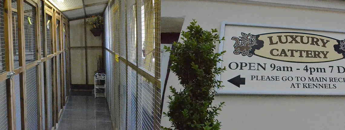 Sandy Lane Kennels - Photo 1