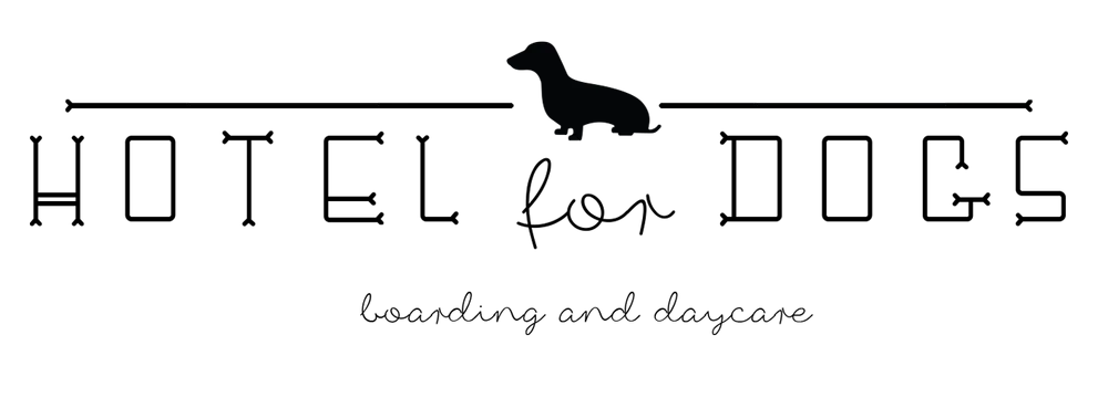 The hotel for dogs, Gosport - Photo 2 of 2