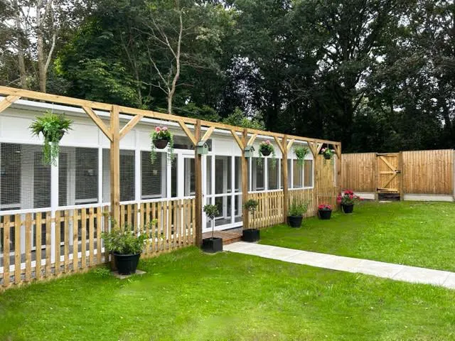 Longcroft Luxury Cat Hotel Crowthorne