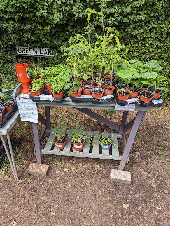 Eastham Woods Cattery