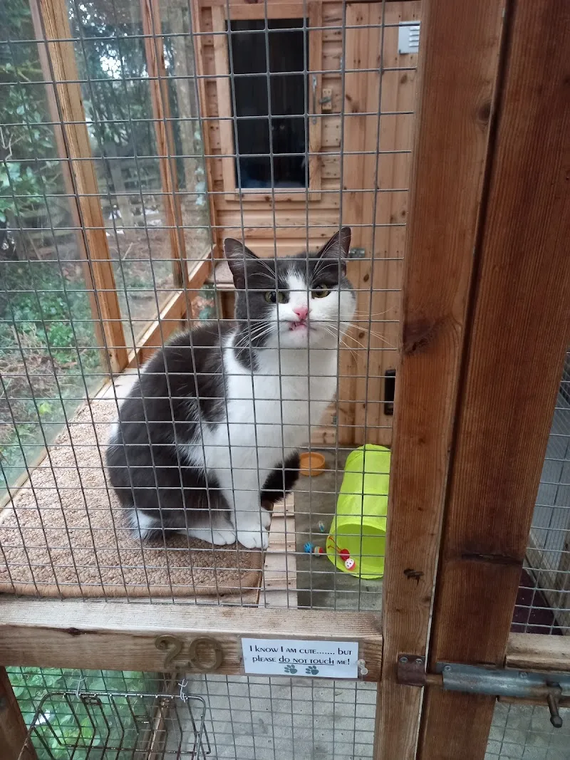 Eastham Woods Cattery