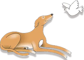 Daybreaks Trust (Greyhound Rescue and Rehoming Charity), Birmingham - Photo 2 of 2