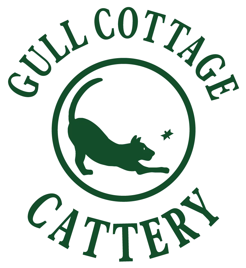 Gull Cottage Cattery, Woodbridge - Photo 2 of 2