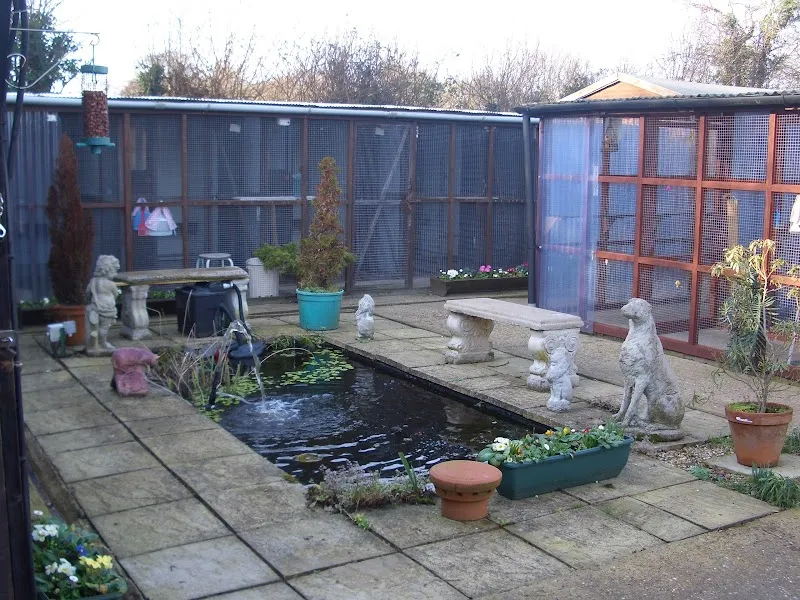 Gull Cottage Cattery