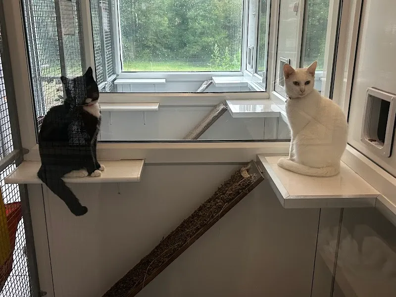 High Heath Farm Cattery