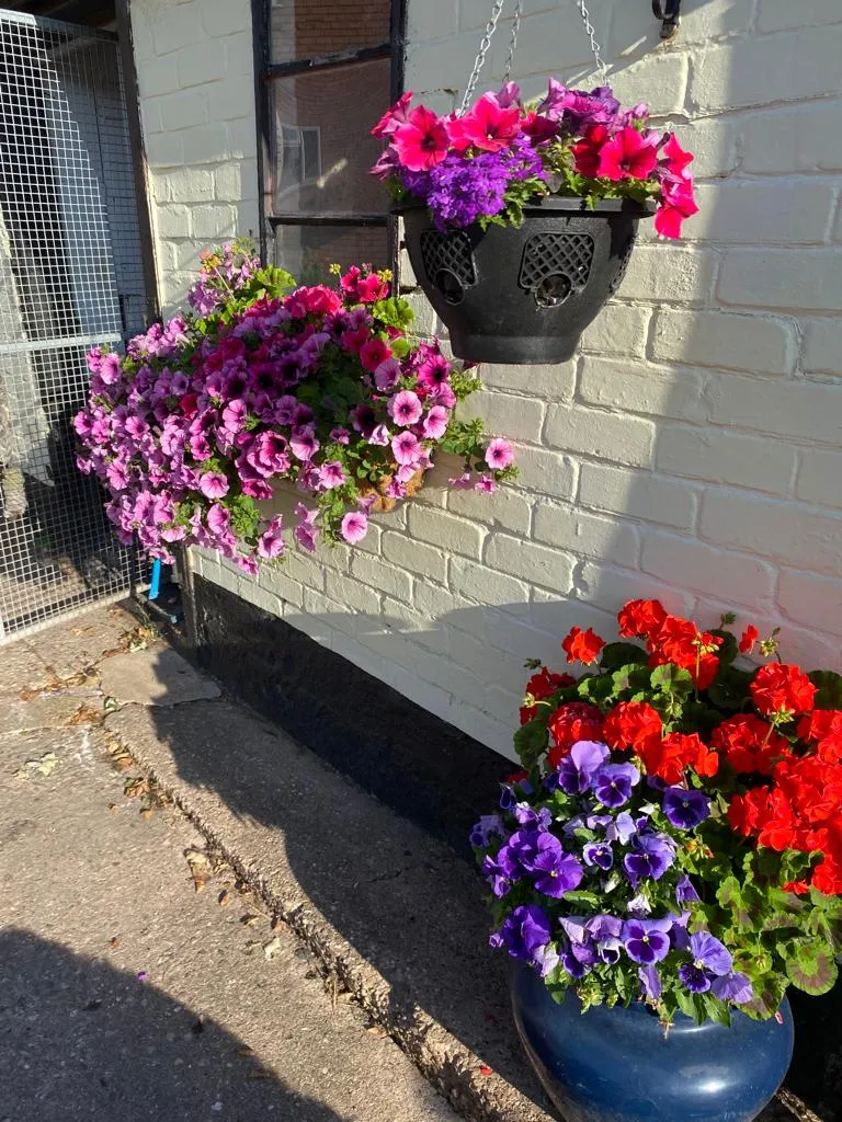 High Heath Farm Cattery