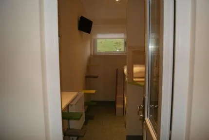 Maythorne Cottage 5 Star Luxury Cattery, Strathaven - Photo 1 of 3