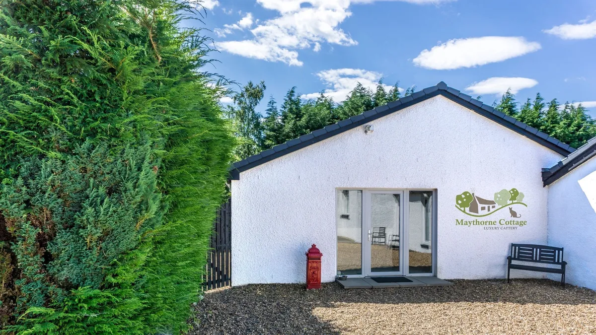 Maythorne Cottage 5 Star Luxury Cattery, Strathaven - Photo 3 of 3