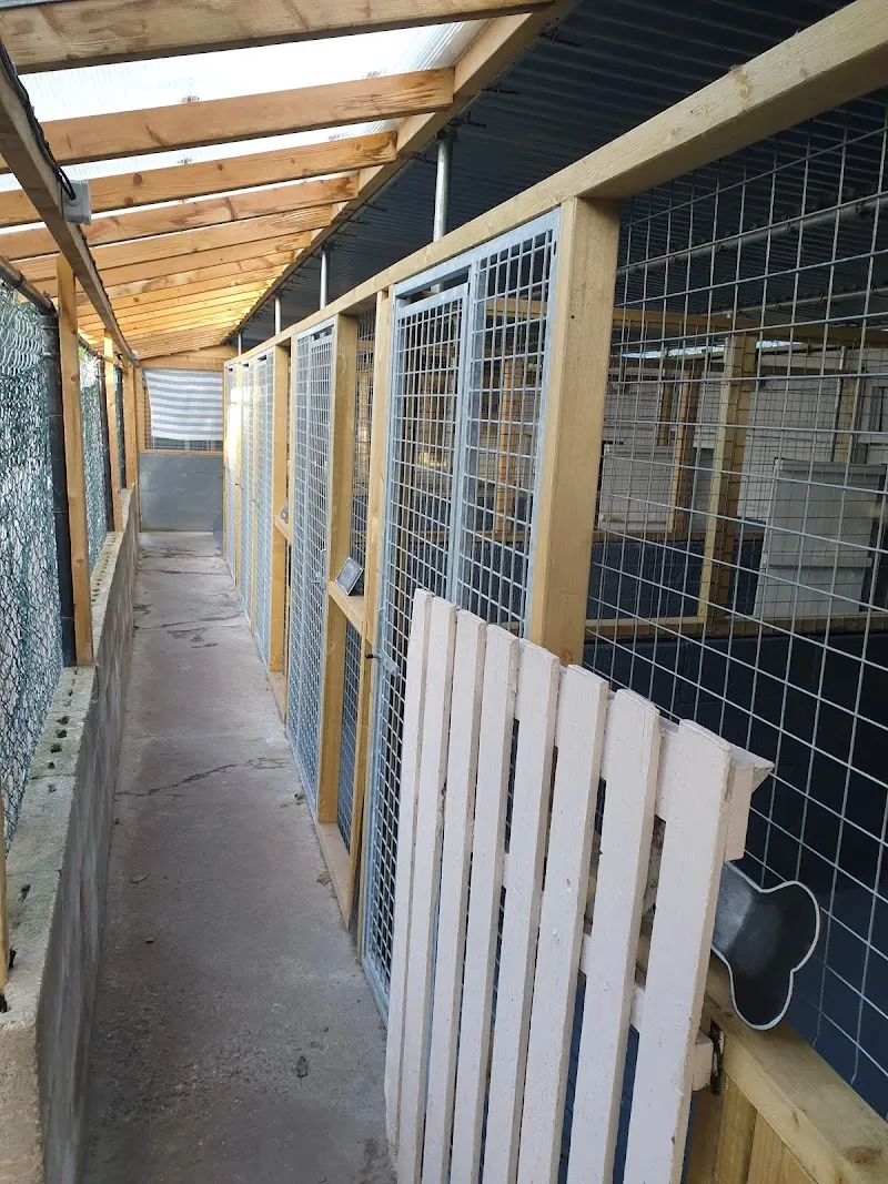 Lilac Cottage Kennels & Cattery