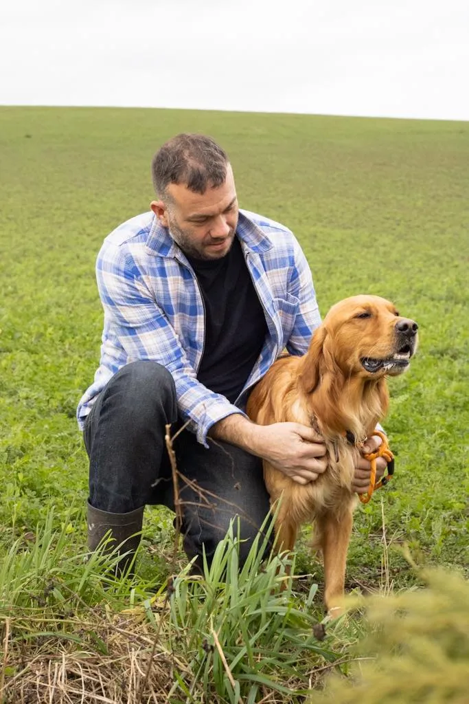 Lilac Cottage Kennels & Cattery