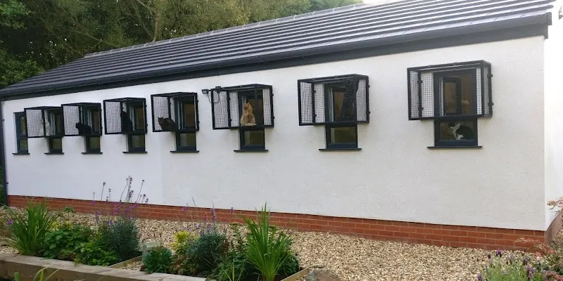 The Great Catsby - Luxury Cat Hotel