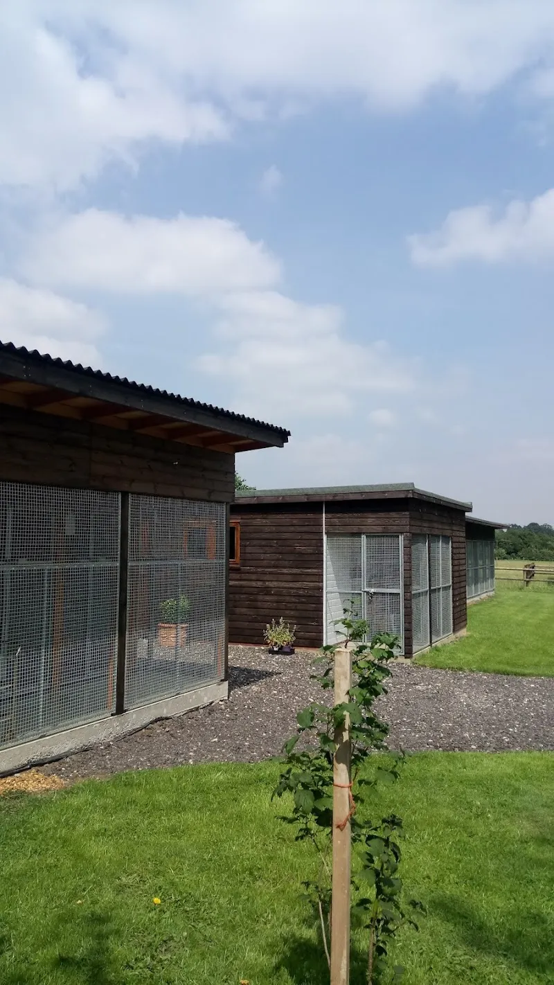 Home Farm Cattery