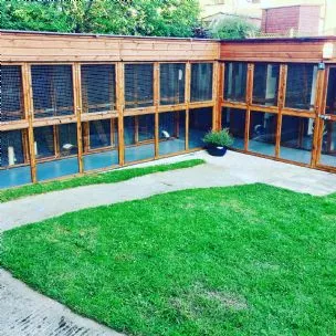 Happy Tails, Yeovil - Photo 1 of 3