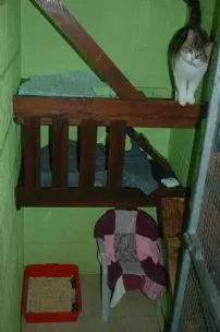 White Lodge Boarding Kennels and Cattery, Melton Mowbray - Photo 1 of 4