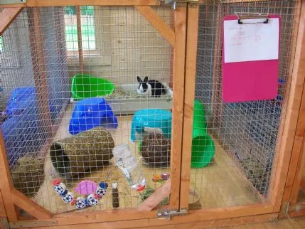Boo Boo's Bunny Hotel, Congleton - Photo 1 of 2