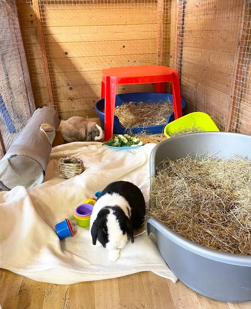 Boo Boo's Bunny Hotel