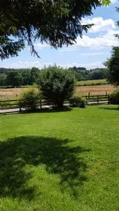 Ockbrook Boarding Cattery, Derby - Photo 1 of 2