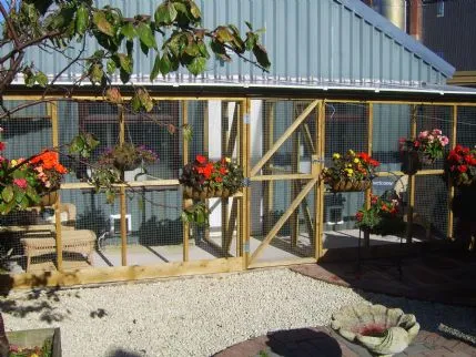 Pawfection Luxury Cattery, Carlisle - Photo 1 of 4