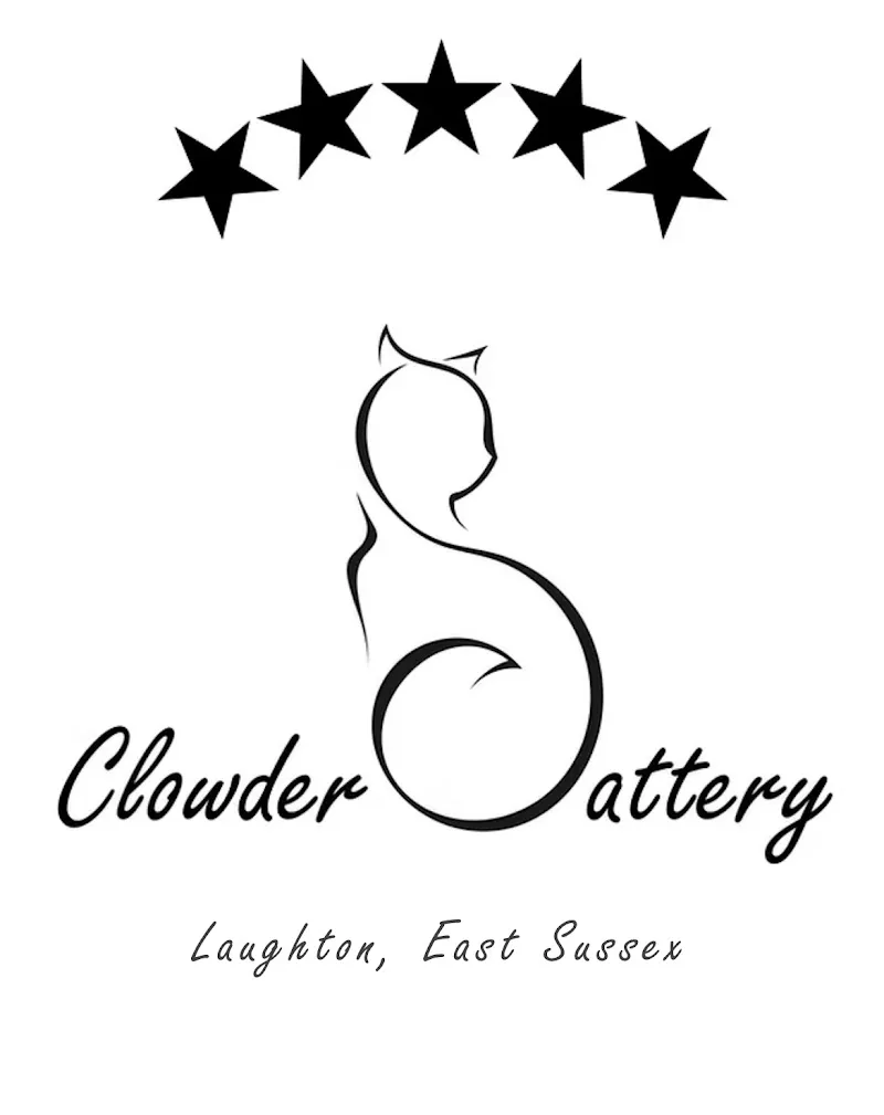 Clowder Cattery - 5 star license cattery