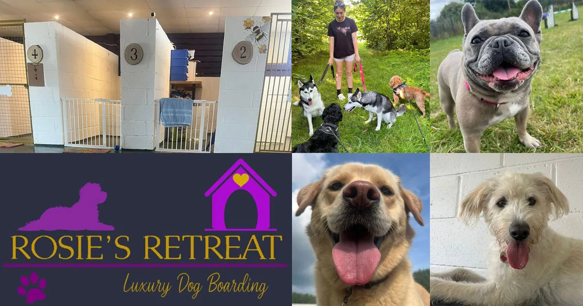 Rosie's Retreat, Sandwich - Photo 2 of 2